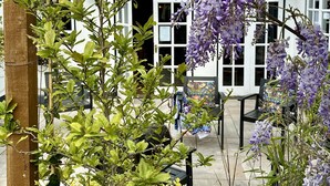 Ein Gebäude mit Ziegeldach und weißen Wänden, umgeben von Grünpflanzen und violetten Blumen.