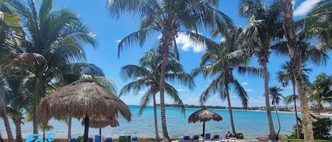 在海滩