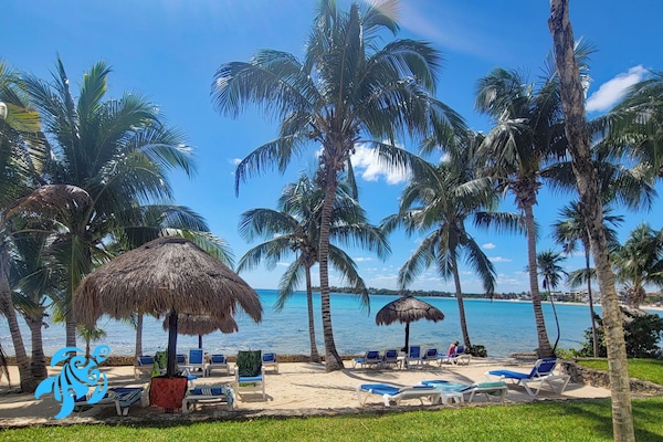 Ubicación a pie de playa, tumbonas y toallas de playa