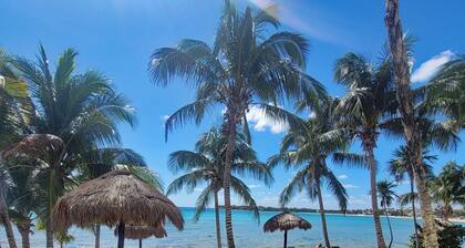 New! Beachfront 2/2 Condo w/ Great Pool!