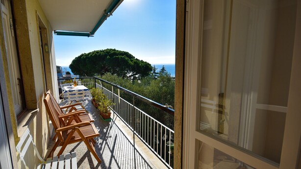 A balcony with a view of the sea and a tree. There are wooden chairs and a table on the balcony.