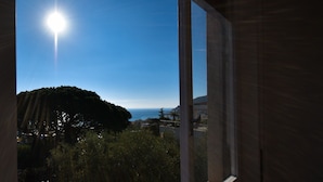 A view through a window with a clear sky, a bright sun, and a distant coastline.