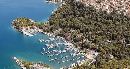 Three Bedroom Apartment in Villla Vuka in OmiĆĄalj