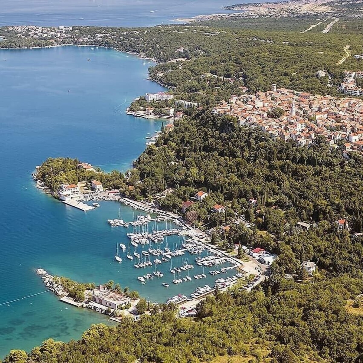 Imagen de perfil del propietario o de la propietaria