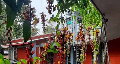 Holiday Home in Coorg Surrounded by Lush Greenery
