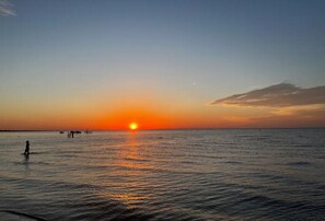 Beach - Spacious 1Bed 1Bath Guest Suit unit (Belle River)