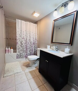 Hair dryer, towels, soap, shampoo - Spacious 1Bed 1Bath Guest Suit unit (Belle River)