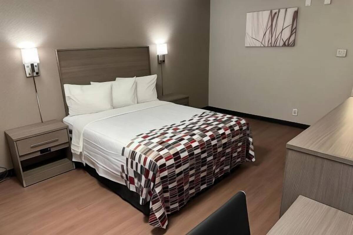 1 slaapkamer, een bureau, een laptopwerkplek, gratis wifi