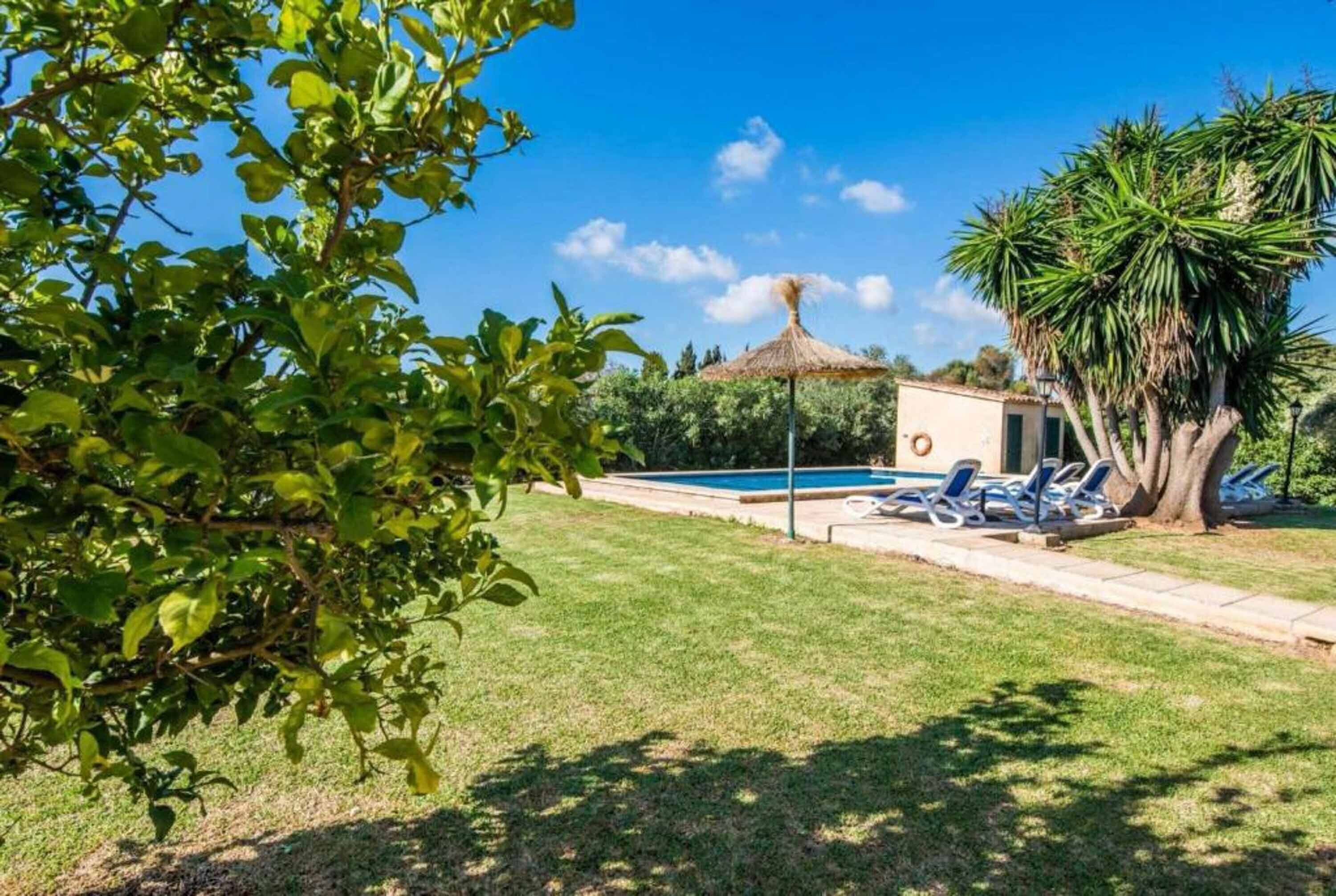 A pool area with lounge chairs, a small building, and a palm tree.