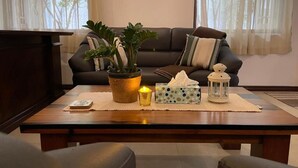 Un salon avec un canapé marron foncé, une table basse ornée d’une plante, d’une bougie et d’une boîte de mouchoirs.