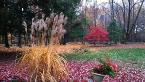 Un jardín con pastos del pampa, un árbol rojo y una planta en maceta sobre una capa de hojas secas.