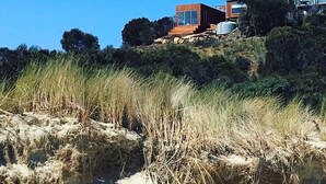 A modern house with a flat roof and large windows, situated on a hillside with dense vegetation. - Three Little Birds at Freycinet - Ocean views! (Glamorgan-Spring Bay)