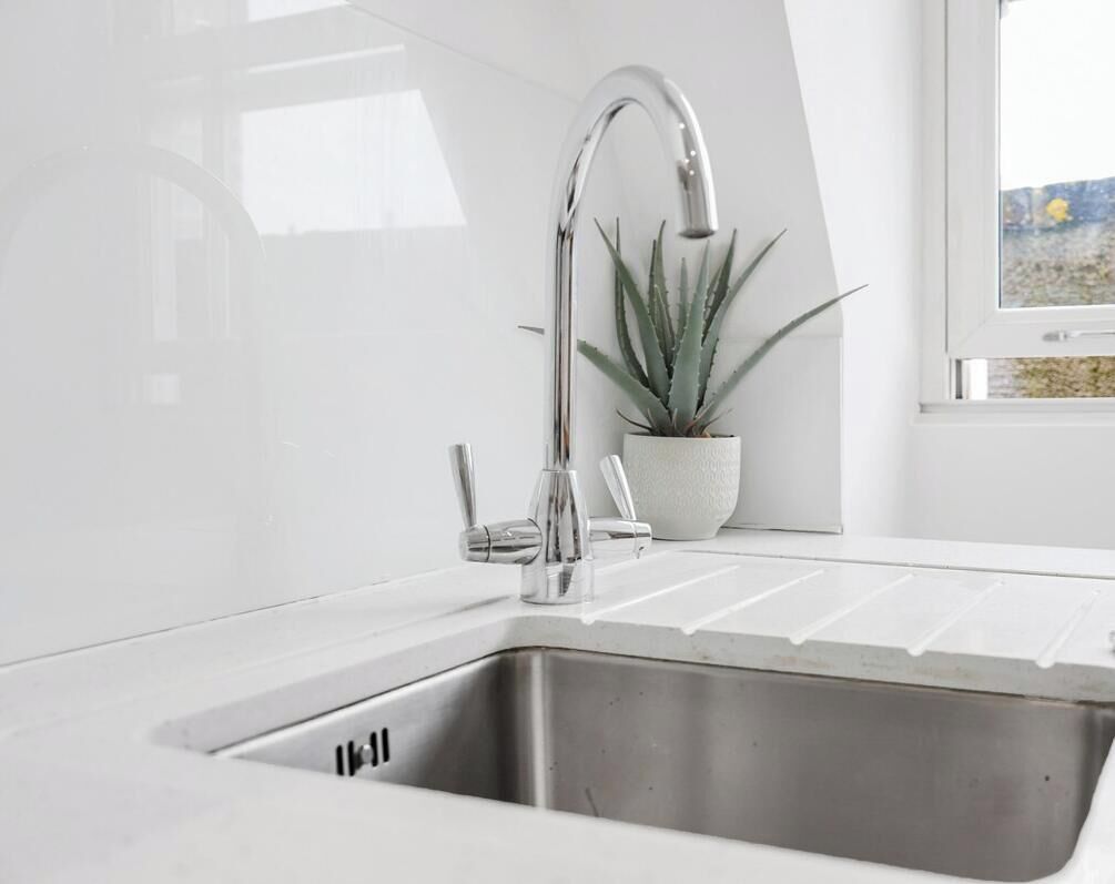 A kitchen with a stainless steel sink, a modern faucet, and a potted plant.
