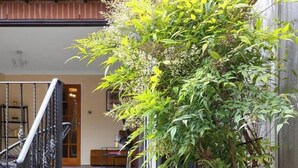Una escalera conduce a una terraza de madera con barandilla metálica, rodeada de vegetación y un edificio al fondo.