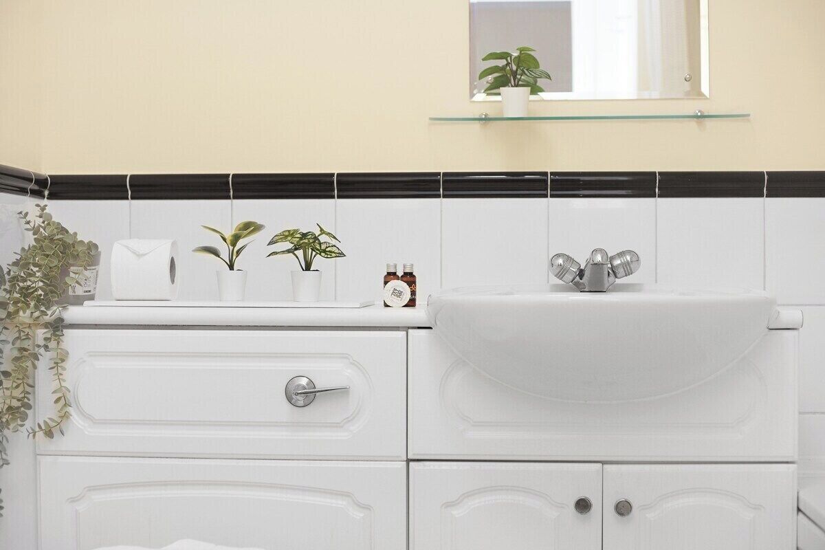 Een badkamer met een wit wastafelmeubel, een spiegel boven de wastafel en een plank met planten en toiletartikelen.