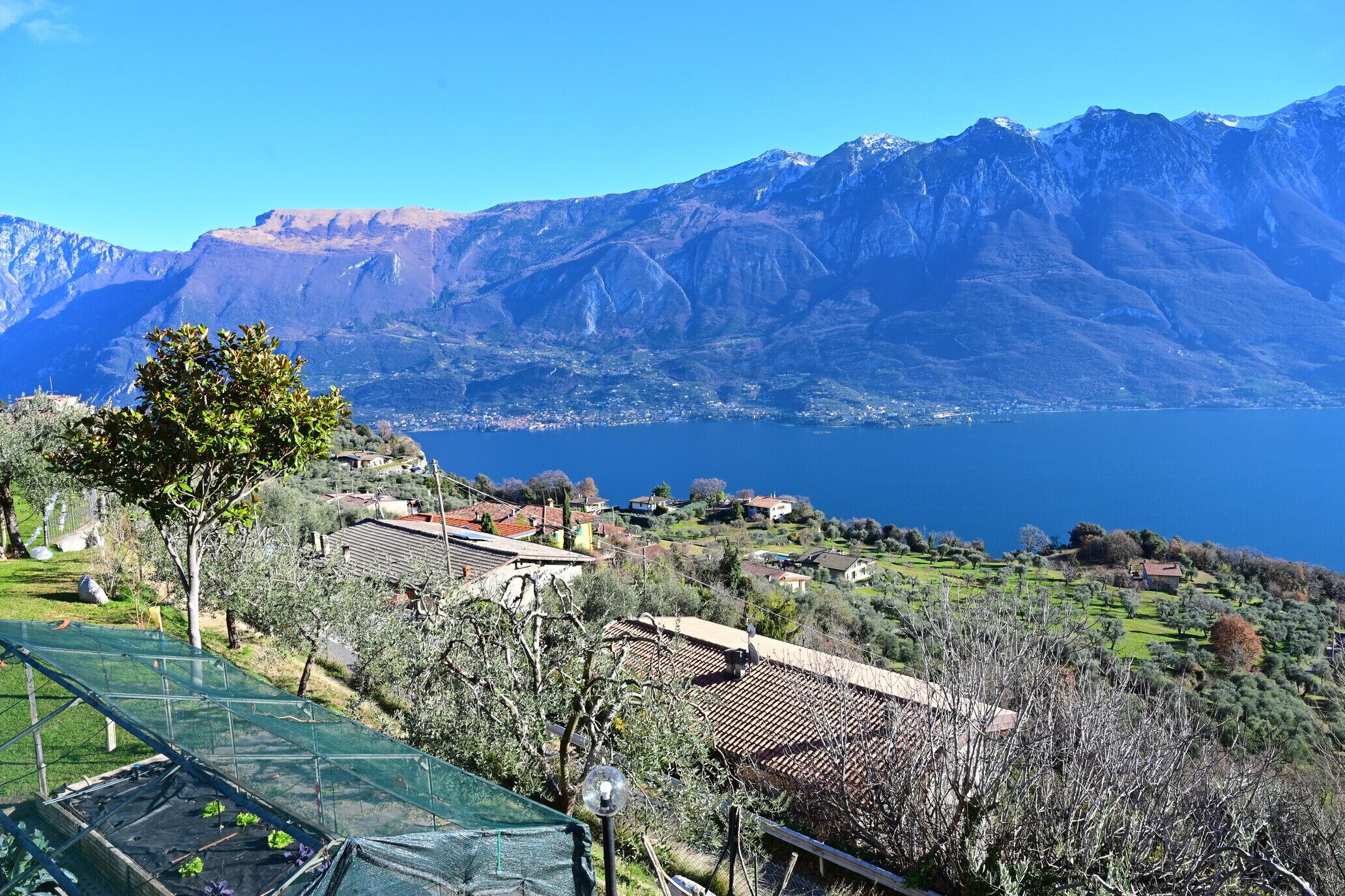 Vista desde la propiedad