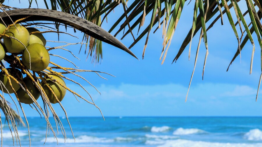 Cristamar apartamento B301