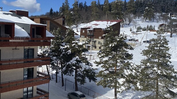 Un barrio residencial con edificios cubiertos de nieve, coches aparcados y árboles.