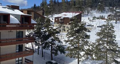 Imagine getting lost from the chaos of the city and finding yourself again