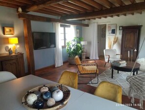 Smart TV, fireplace, books