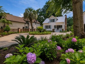 A residential area with a house featuring a front porch, a driveway, and a landscaped garden with hydrangea flowers.