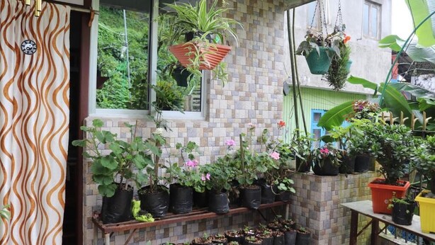 A balcony with potted plants and a view of a green landscape.