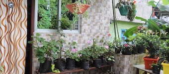 Sparrow Nest Homestay: Where Comfort Takes Flight and Hospitality Sings