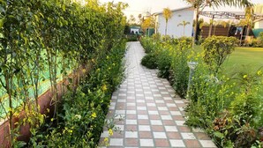 Un chemin bordé de verdure et de fleurs jaunes, qui mène à un bâtiment à la façade blanche.
