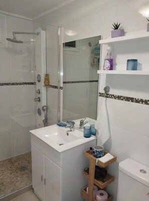 Hair dryer, towels, soap, toilet paper
