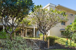 A multi-story building with a covered outdoor area, steps leading up to the entrance, and a variety of trees and shrubs.