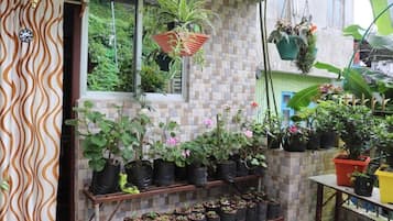 Parco della struttura