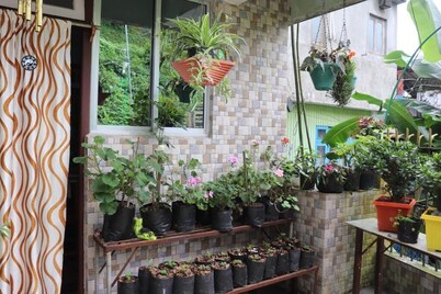  Nestled in Tranquility Sparrow Nest Homestay in Heart of Darjeeling!
