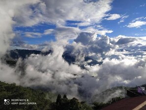 Miscellaneous - Nestled in Tranquility Sparrow Nest Homestay in Heart of Darjeeling! (Hatta)