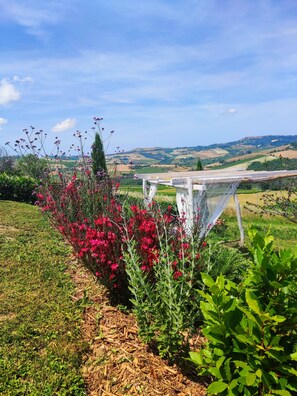 Terrain de l’hébergement 