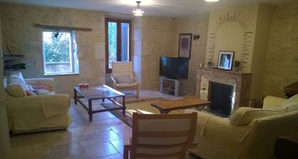 Beautiful French Farmhouse, Pool & Vineyard. Live the Dream !