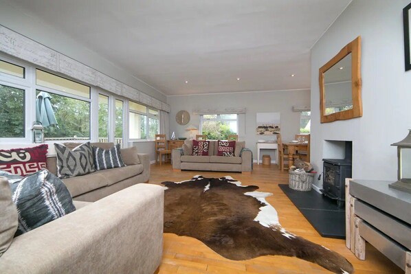 Smart TV, fireplace, books