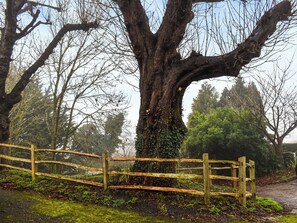 المنطقة المحيطة بالمنشأة