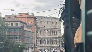 Premium bedding, down duvets, pillow-top beds, free minibar