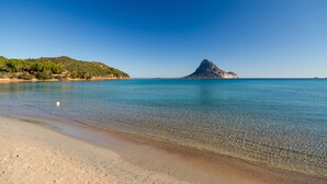 A beach with clear water, a sandy shore, and a hill with trees in the background.