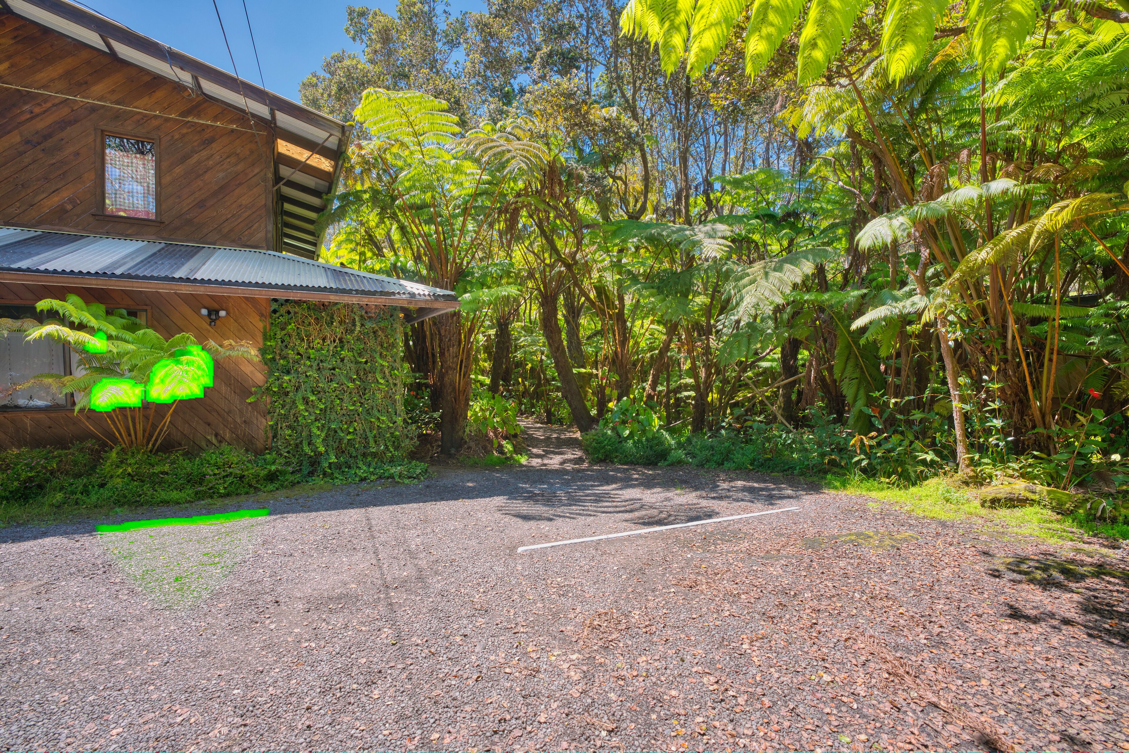 A gravel driveway leading to a wooden building with a metal roof, surrounded by lush greenery and ferns.