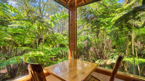 Una mesa y sillas de madera en una habitación con ventanas amplias que dan a un bosque verde y frondoso.