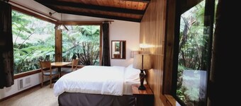 The Pacifica Inn- The Nene and Hapu’u Room