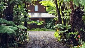 Un sendero conduce a una casa rodeada de helechos densos y vegetación tropical.