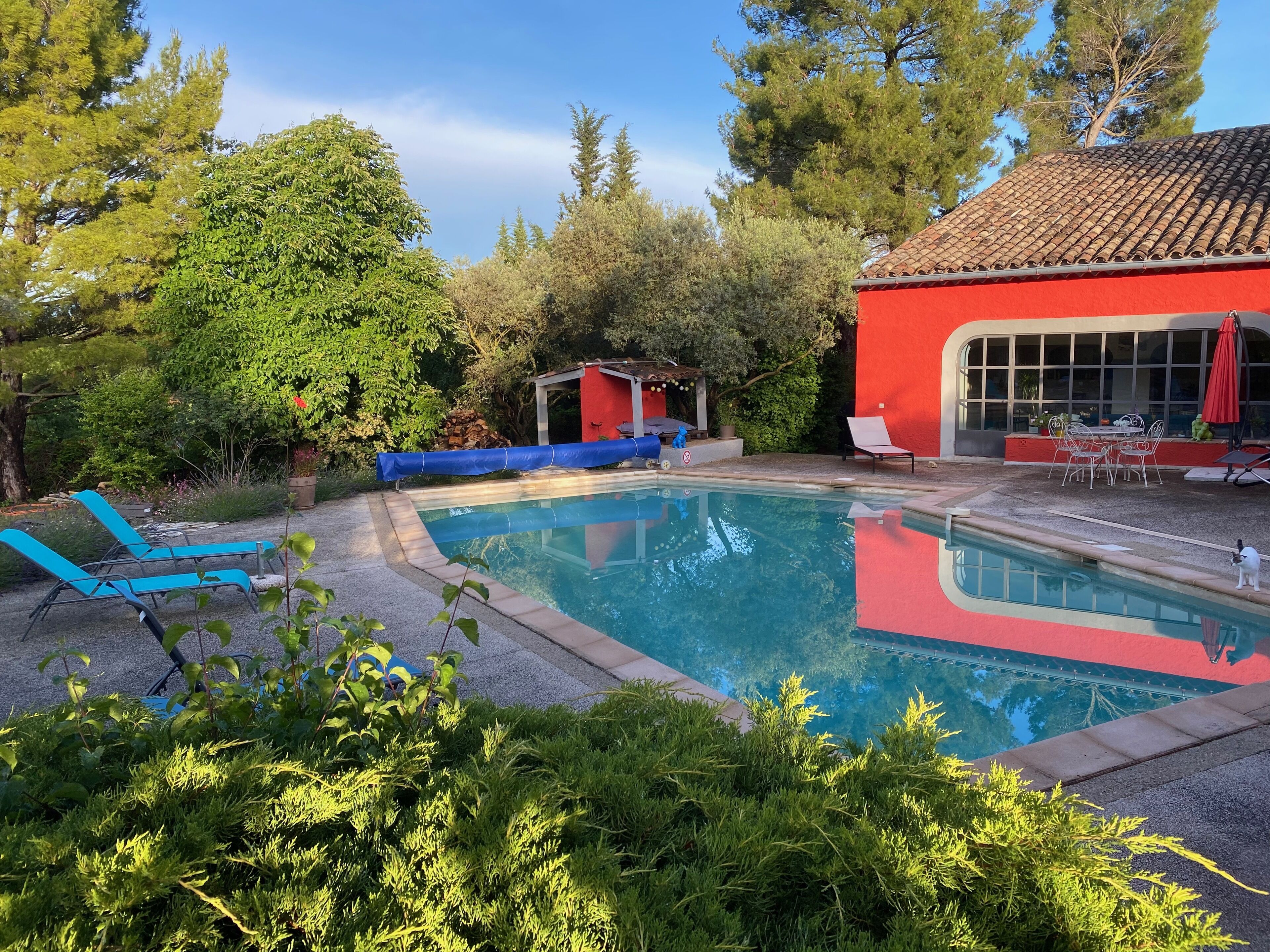 En swimmingpool med blå liggestole, en rød bygning med store vinduer og grøn bevoksning omkring.