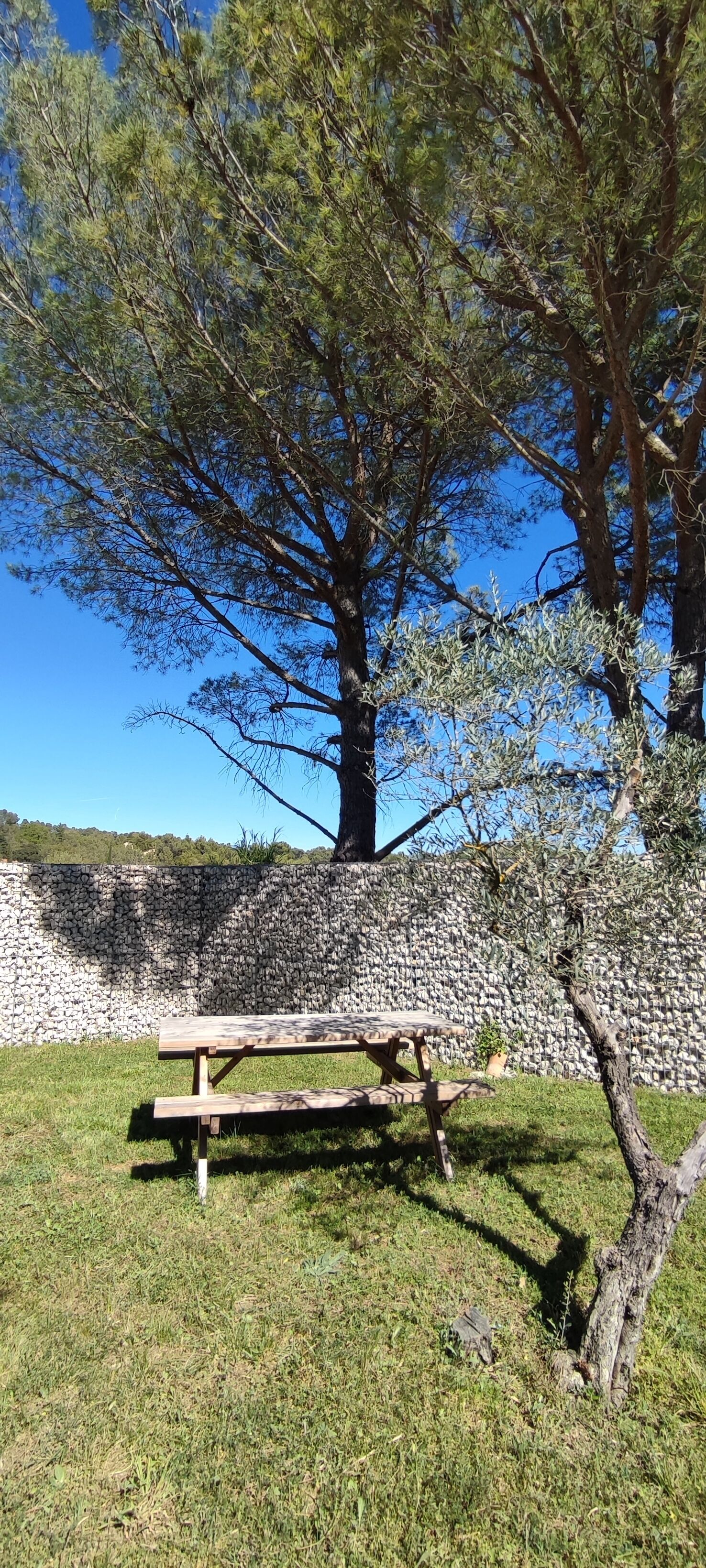 Una mesa de picnic en un área verde con un muro de piedra y árboles al fondo.