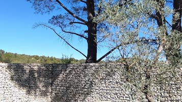 Una mesa de picnic en un área verde con un muro de piedra y árboles al fondo.
