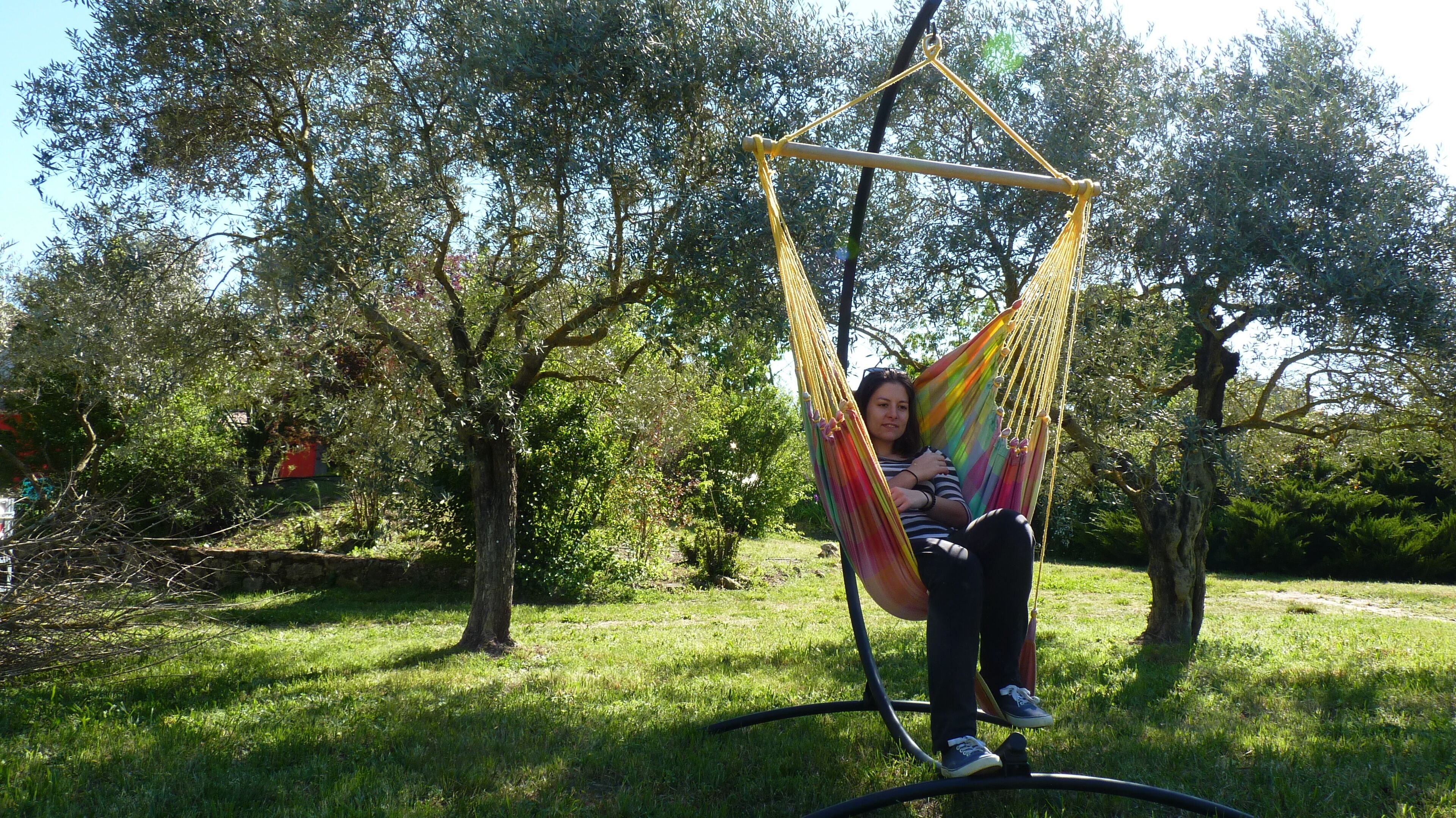 Un'amaca sospesa tra gli alberi in una zona erbosa.