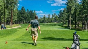 Un campo de golf con un camino despejado, árboles y un bolso de golf a la derecha.