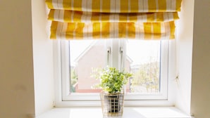 A window with a yellow and white striped valance and a potted plant on the windowsill. - Orchid House in Cambridge (Cambridge)