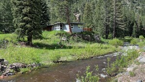A cabin surrounded by dense forest and a flowing stream.